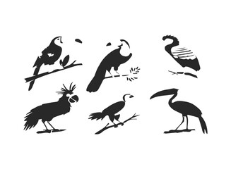 Fototapeta premium Colorful jungle birds icon set parrot toucan hornbill