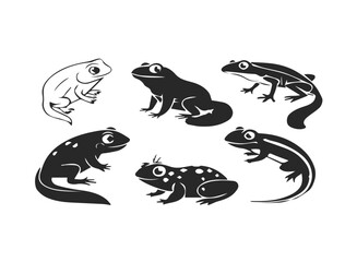 Cute amphibian icons frog salamander and more