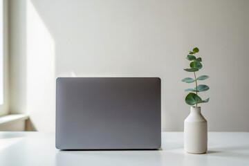 Laptop with Green Plant Decoration on White Desk, Minimalist Workspace Design, Modern Office Interior, Computer and Nature