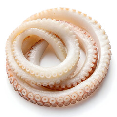 Raw squid ring single piece isolated on white background showcasing fresh seafood ingredient ideal for cooking, recipes,