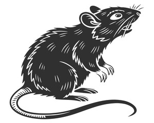 vector illustration of a rat