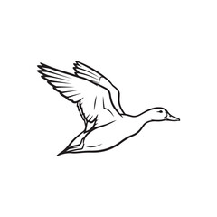 Flying american black duck outline vector flat illustration design
