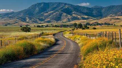 Fototapeta premium Scenic winding road through vibrant fields and rolling hills under a clear blue sky with mountains in the background during a sunny day in the countryside