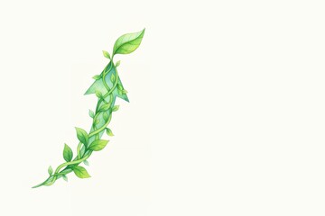 Green vine with leaves on a light background for decoration environmental ESG factor