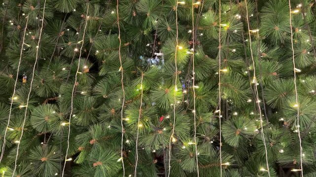 4k footage close up of icicle lights on christmas tree with interactive sparkling lights. Interactive sparkling christmas twinkle lights or icicle lights. Seasons greetings, merry christmas.