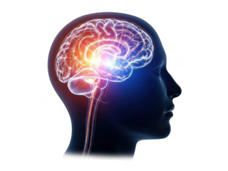 Glowing human brain activity visualized inside silhouette head for medical research transparent background