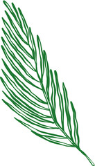 Simple Doodle Sketch of Biblical Palm Leaf Element
