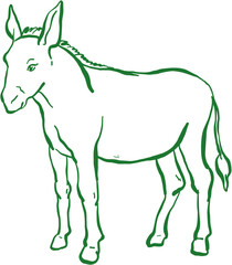Biblical Doodle Sketch Donkey Animal from Bible