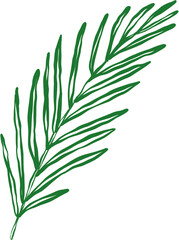 Doodle Sketch of Several Biblical Palm Leaves Outline
