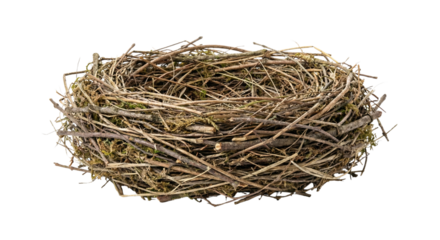 Empty Bird Nest Made Of Twigs And Branches