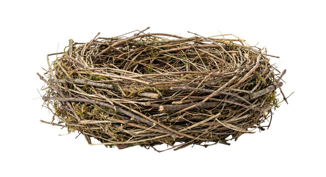 Empty Bird Nest Made Of Twigs And Branches