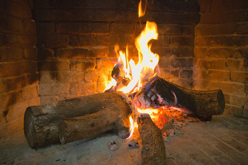 le&ntilde;a chimenea encendida encina 