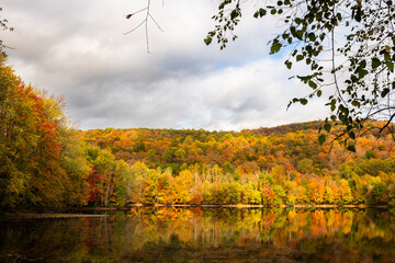 Ramapo Valley County Reservation in the Autumn