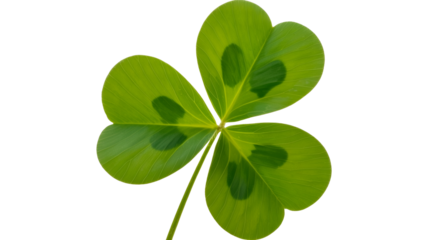 Capture the luck of the Irish with this vibrant shamrock, perfect for St Patricks Day designs and celebrations