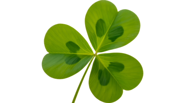 Capture the luck of the Irish with this vibrant shamrock, perfect for St Patricks Day designs and celebrations