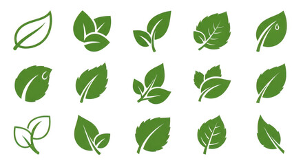 Collection of green leaves isolated on transparent background