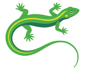 A green lizard illustration, dynamically posed with a long, flowing tail.