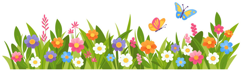 Spring meadow flower and grass. Floral border with leaves and hand drawn blooming flowers.