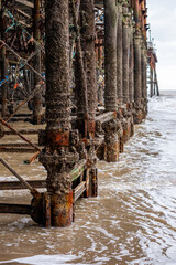 Fototapeta premium Weathered wooden pier supports covered in barnacles stand in shallow water, with gentle waves lapping at the base, creating a serene coastal atmosphere and showcasing natural textures