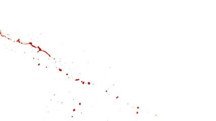 Obraz premium Blood Splash in Freeze Motion . Isolated on White Background