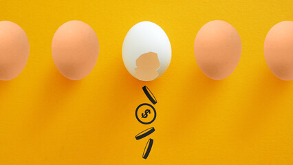 Broken Egg with Falling Coins Symbolizing Financial Loss, Investment Risk, and the Importance of...