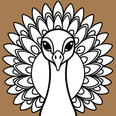 Elegant hand drawn peacock