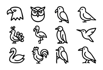 Fototapeta premium Set of bird icons in bold-line style: eagle, owl, parrot, dove, peacock, flamingo, penguin, hummingbird, swan, rooster, woodpecker, crow.