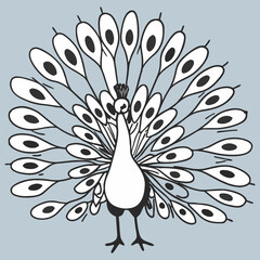 Elegant hand drawn peacock