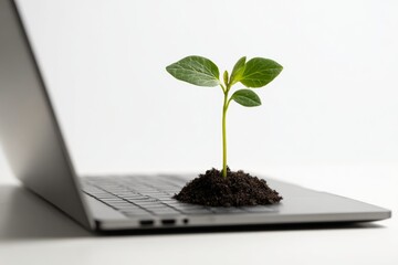 Close up of Plant Growing From Laptop Keyboard Symbolizing Agriculture Technology and Innovation in Modern Farming