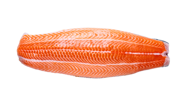 Raw salmon fillet featuring fresh omega-3 rich seafood