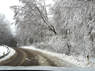 Winter road bending through a snowy forest, with icy trees leaning over the asphalt and light snowfall creating slippery driving conditions.
