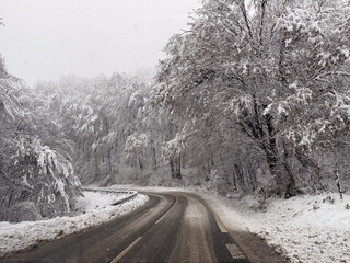 Winter road surrounded by icy trees, slippery surface and falling branches creating dangerous driving conditions.