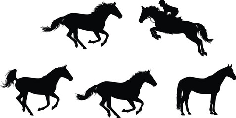 Set of Black Silhouette Horse Figures in Various Poses Galloping, Running, Standing, and Jumping with a Jockey, Representing Equestrian Sport and Racing