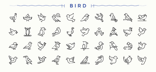 Naklejka premium Bird icon pack. Outline icons pack. Editable stroke vector art. Wildlife line icon set. Contains such symbols as nature, fly, animal, wildlife and more.