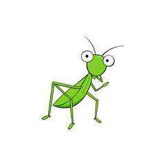 vector clip art mantis on white background for web and graphic design