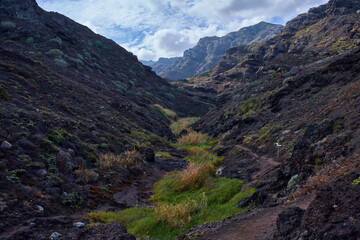 Mountain trail through Anaga terrain