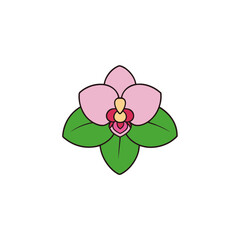 Fototapeta premium vector clip art orchid on white background for web and graphic design