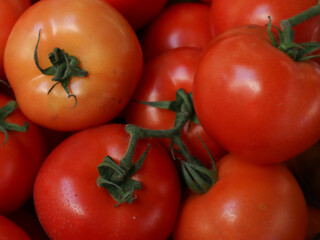 A close-up shot of a cluster of red and orange tomatoes with green stems.