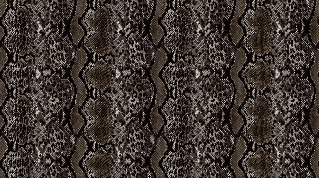 leopard print. fashion animal skin