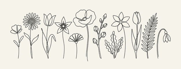 Decorative continuous line art flowers and botanical elements