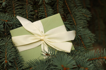 Gift certificate with a satin ribbon on fir branches background