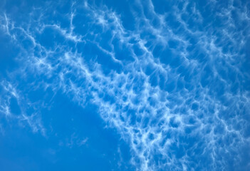 Cloud long wide form in the Blue Sky on Sunny Day. A translucent, dissolving sheet of lace, vapor from a cloud, floating into the distance. Nature Scenery with a Good Weather. Banner panoramic Screen.