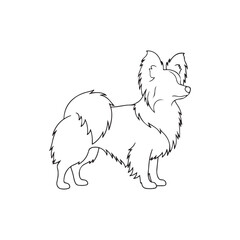 Papillon dog outline vector flat illustration design