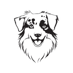 Mini Australian Shepherd drawing