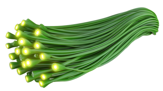 Green fiber optic bundle with glowing tips isolated on a transparent background