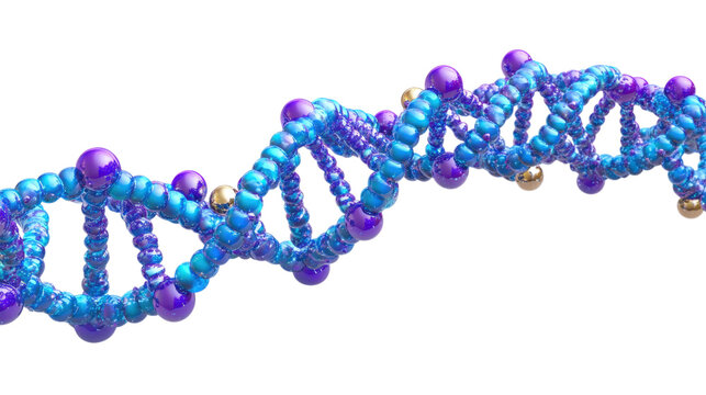 Blue and purple D N A helix with gold accents isolated on a transparent background