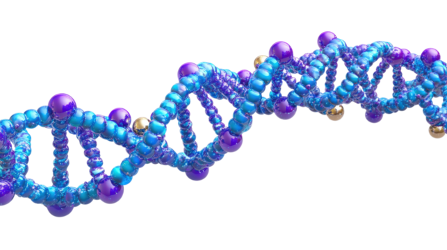 Blue and purple D N A helix with gold accents isolated on a transparent background