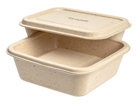 Eco-friendly food container, sustainable meal prep takeaway box