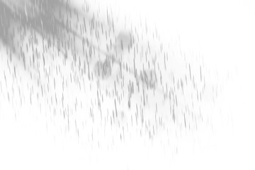Fototapeta premium Realistic Transparent Rain Overlay PNG – High-Resolution Rain Effect, Falling Water Droplets, Weather Texture for Photo Editing & Graphic Design