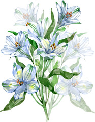 Elegant watercolor bouquet of white and light-blue alstroemeria with fresh green leaves. Soft petals and delicate shades create a refined botanical illustration perfect for prints, stationery, packagi